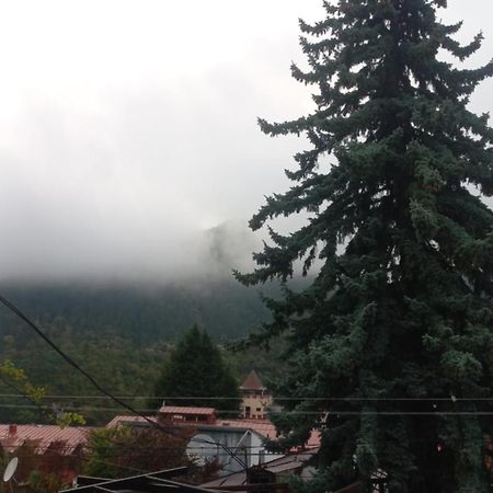 House Lia Hotel Borjomi Exterior foto
