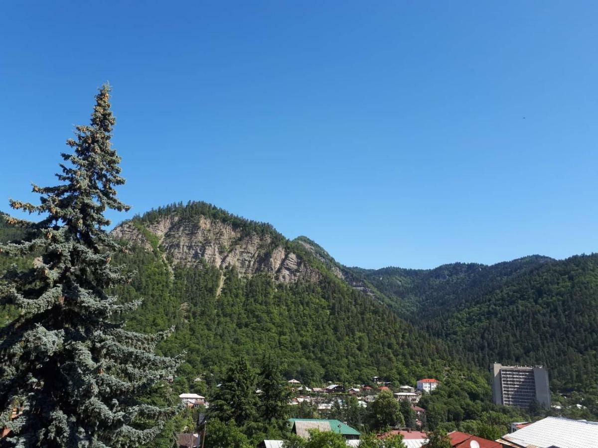 House Lia Hotel Borjomi Exterior foto